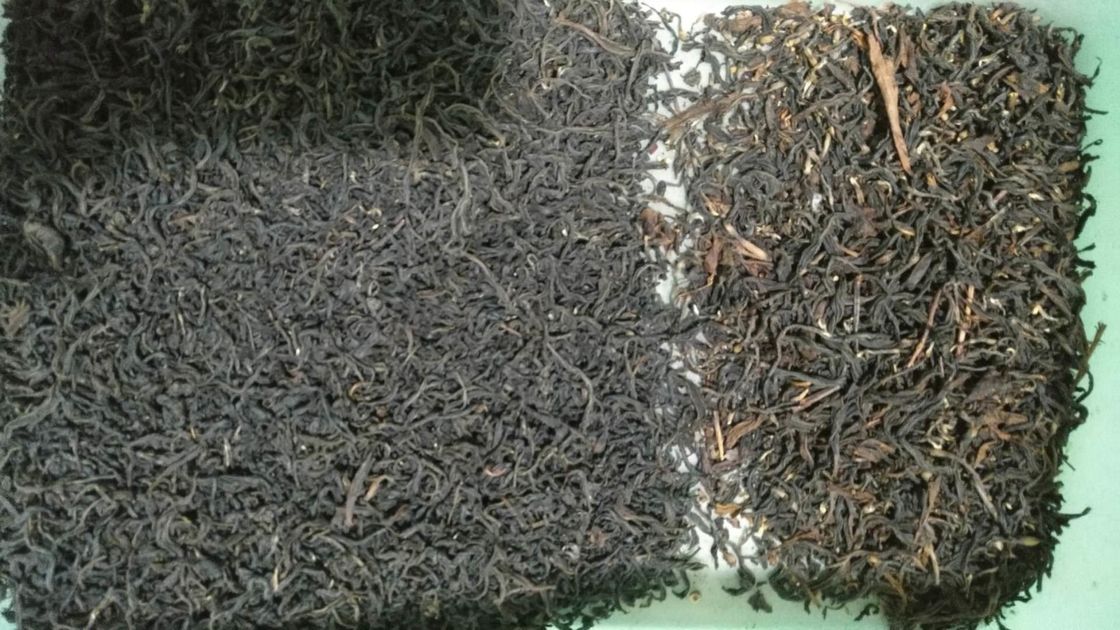 Macchina di WENYAO Flower Tea Color Sorter per la selezione gialla dei bastoni