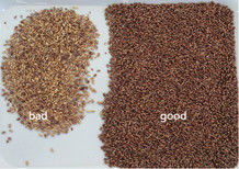 WENYAO Wheat Sorting Machine, selezionatore ottico di colore del CE per la mietitrice del grano