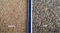 SELEZIONATRICE CROMATICA PER CEREALI WENYAO Led, Colore Grano, Basso Consumo Energetico