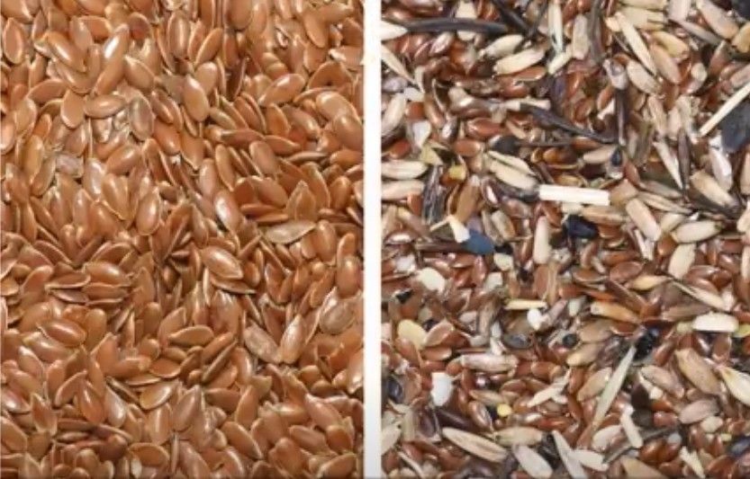 Attrezzatura agricola del selezionatore di colore dei semi di sesamo della macchina di Flax Seed Sorting del produttore