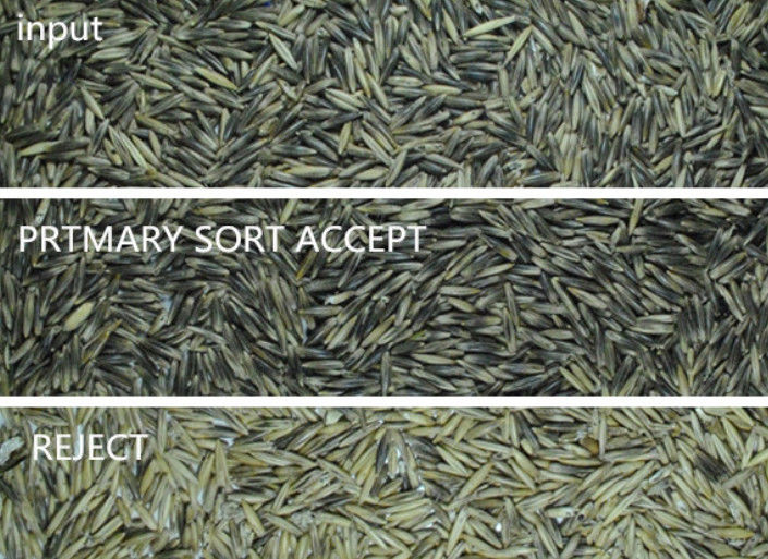 Grani automatici intelligenti del selezionatore di colore dell'orzo che classificano prezzo franco fabbrica del vaglio