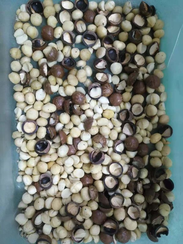 Il selezionatore di colore delle noci di macadamia ottico più popolare per la separazione i dadi e delle coperture