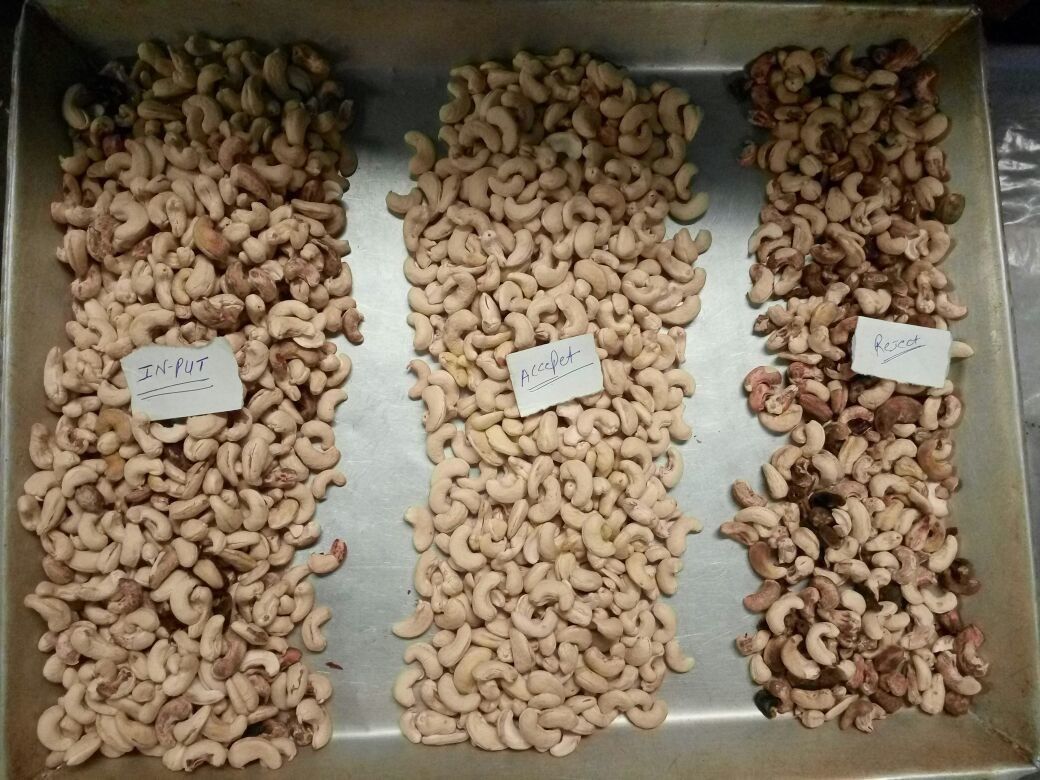 Produttore del selezionatore di colore di WENYAO Newest Type Cashew Nuts in Fefei Cina