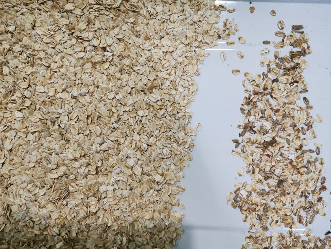 Macchina ad alto rendimento di colore del selezionatore dell'avena con il selezionatore ottico di colore del CCD