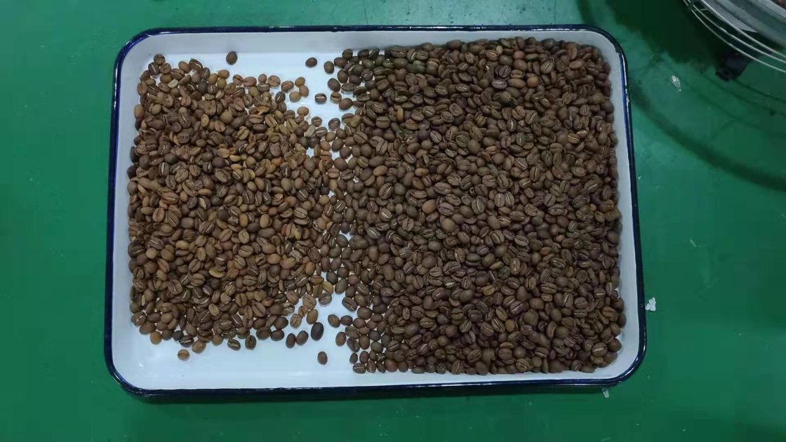 240V 50Hz ha arrostito il chip d'elaborazione ad alta velocità di Bean Sorting Machine del caffè