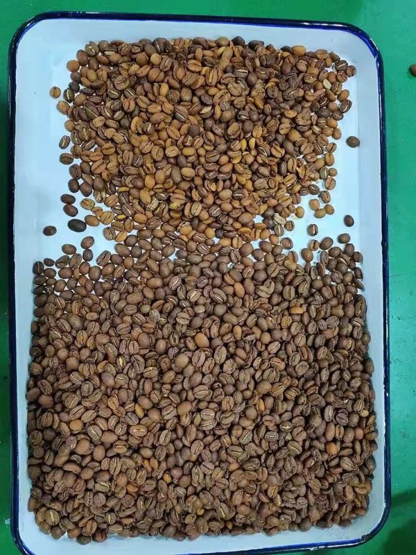 240V 50Hz ha arrostito il chip d'elaborazione ad alta velocità di Bean Sorting Machine del caffè