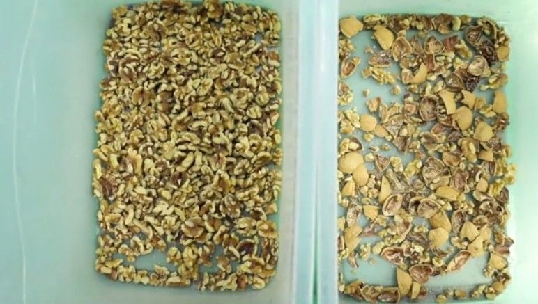 Selezionatore matto di colore di 2 canali degli scivoli 128, WENYAO Walnut Color Sorter