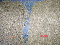 Attrezzatura di elaborazione ottica della quinoa di colore del CCD per l'azienda agricola a ordinare il separatore della quinoa