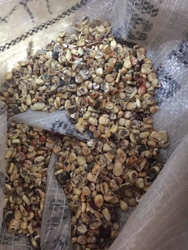 Selezionatore multiuso di colore del grano della macchina del selezionatore di colore di cereale per la separazione bianca di colore di cereale