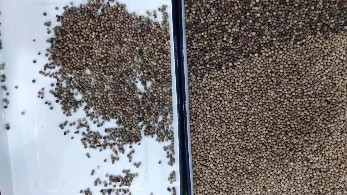 Il selezionatore automatico di colore del grano del CCD, 3t/h pepa il vaglio