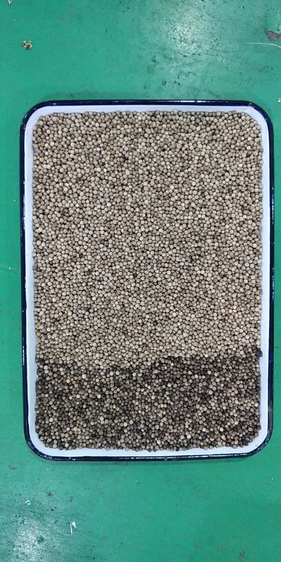 Il selezionatore automatico di colore del grano del CCD, 3t/h pepa il vaglio