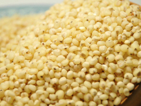 Wenyao Grain Color Sorter, CE ISO9001 del vaglio del sorgo