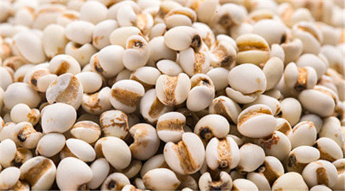 Macchina del selezionatore del grano di WENYAO High Precision Wheat Corn con capacità superiore
