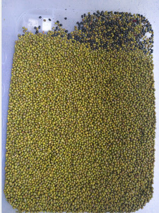 Sortitore di colori di soia / fagioli rossi / fagioli di mung / fagioli di caffè completamente automatico
