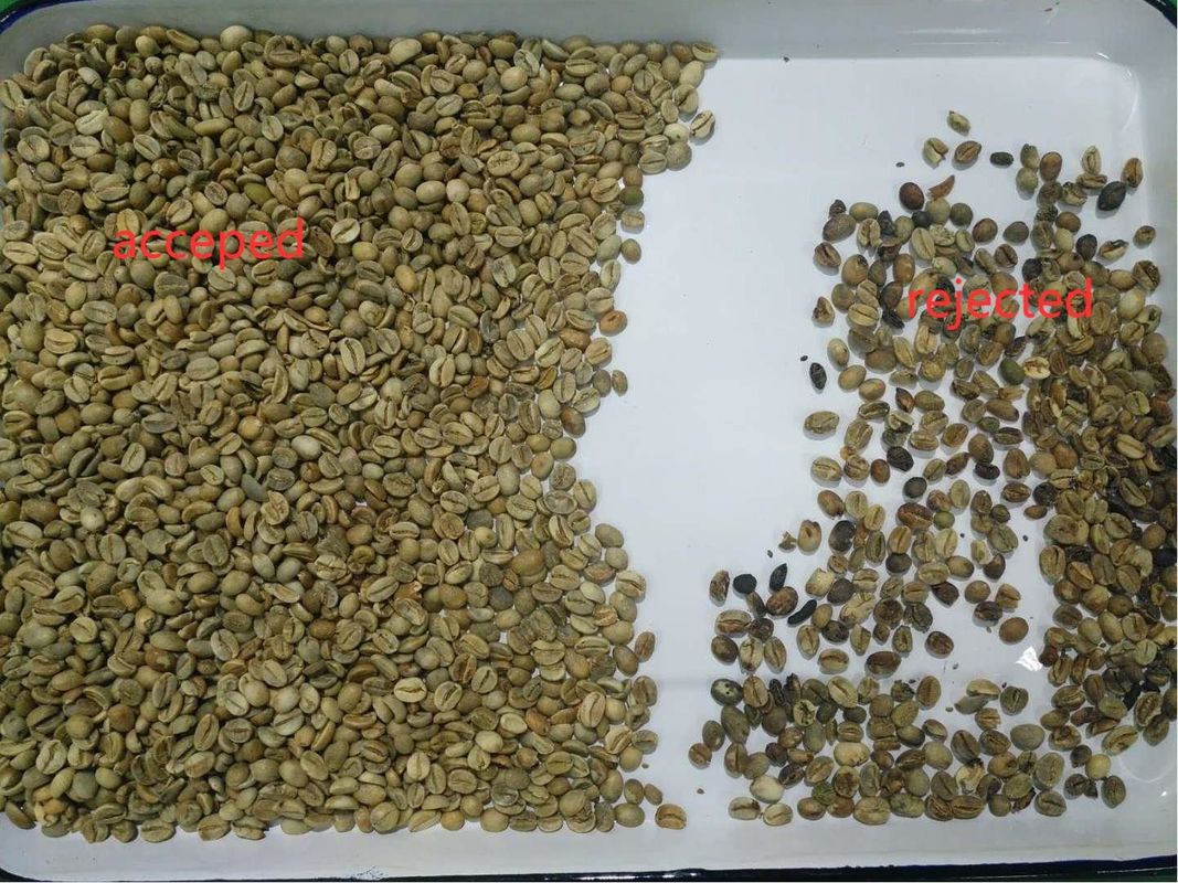 Intelligente multifunzione Green Coffee Bean Color Sorting Machine Fagioli Color Sorting