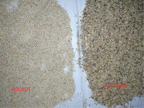 Sortitore di colore di grano Wenyao Alta precisione Basso consumo energetico