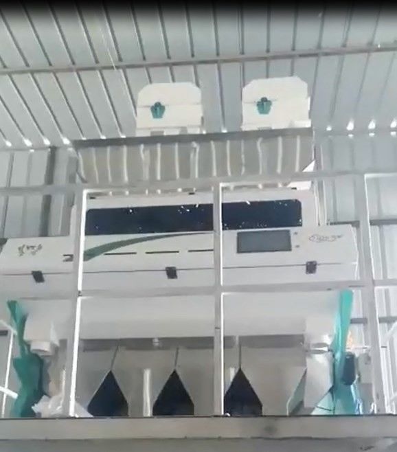 CCD 2t/h di Toshiba del selezionatore di colore del grano degli scivoli dei cereali 4 del macchinario agricolo