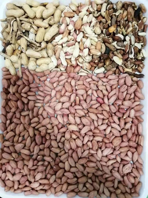 Macchina elettrica del selezionatore di colore dell'arachide del selezionatore di colore del grano della macchina del selezionatore di colore del dado