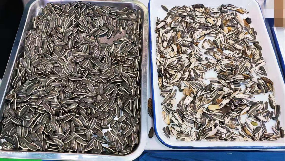 I semi di zucca colorano la separazione dell'attrezzatura 2 scivoli 128 canali
