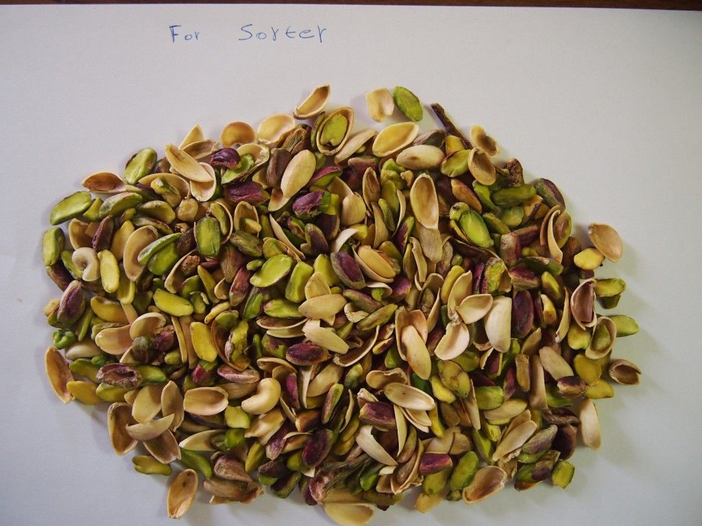 Macchinario intelligente automatico del selezionatore di colore del pistacchio da WENYAO In Fefei China