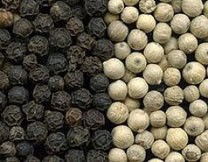 Sortitore di colori di pepe verde fresco bianco nero pepe di noce 320 canali