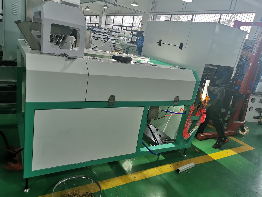 Macchina per la classificazione dei colori in plastica ad alta precisione con tecnologia Toshiba CCD e certificazione CE ISO9001