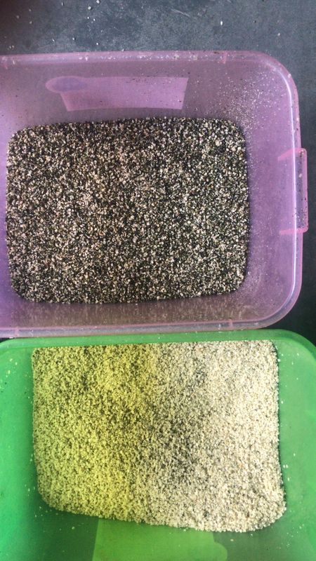 Cina Hot Sale Intelligente Automatica Sementi di coriandolo Orzo Wehat Color Sorting Machine