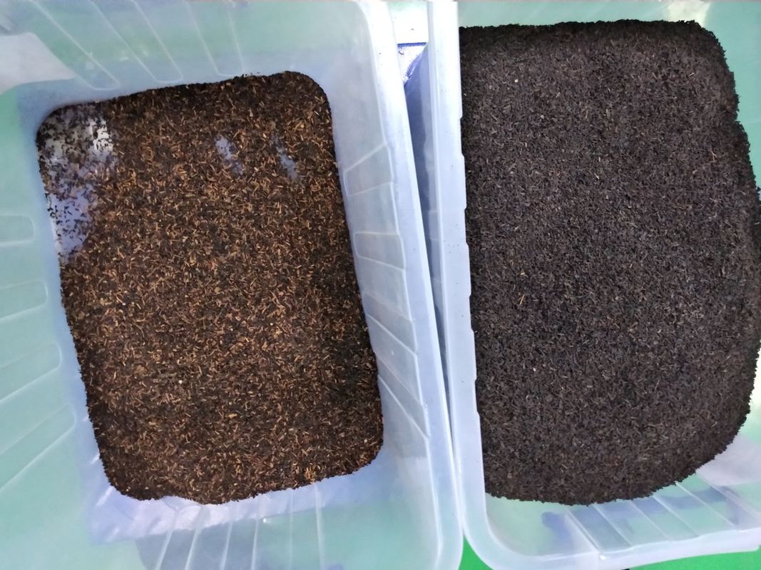 Sensore intelligente del centro del CCD di Rose Flower Tea Colour Sorter