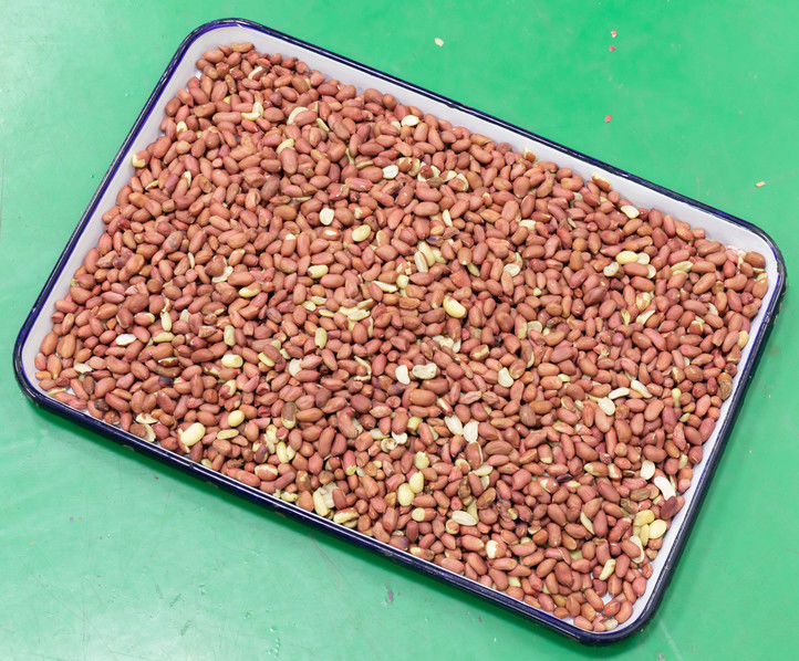 Macchinario del selezionatore di colore dell'arachide di alta precisione di 5 scivoli per la separazione delle arachidi sbucciate