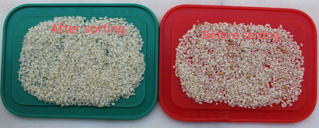 Selezionatore glutinoso di colore del riso, attrezzatura di elaborazione del riso di RGB di 99,99 accuratezze