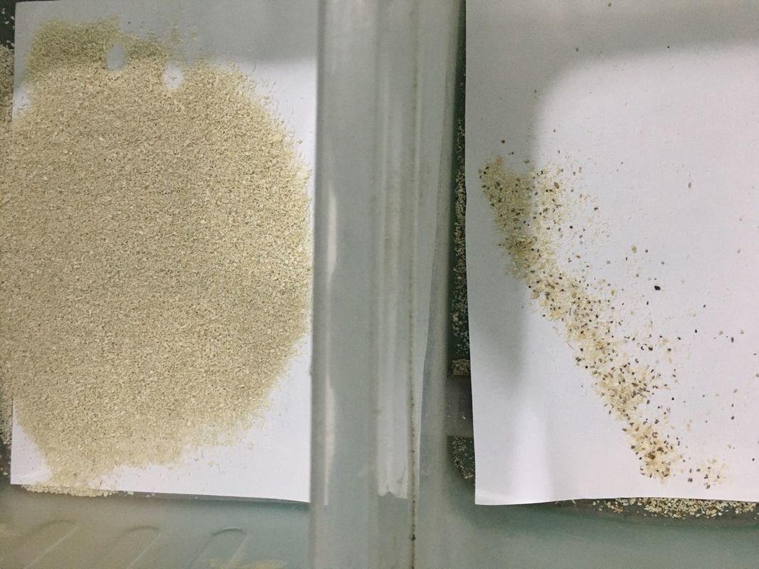 Macchinario essiccato regolare del selezionatore di colore della noce di cocco per la separazione delle particelle gialle della noce di cocco