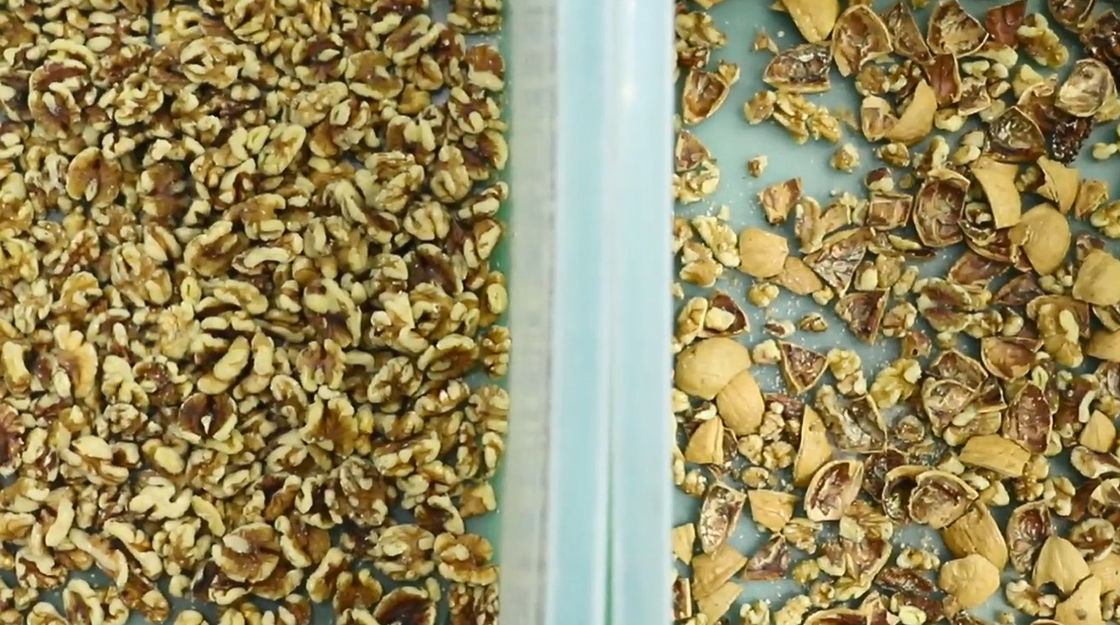 Rene multifunzionale Bean Pistachio Nut Color Sorter del nero della macchina del selezionatore del nocciolo dell'arachide dei semi di girasole