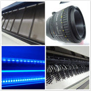 Ginger Processing Plant Color Sorter con RGB Nir Sensor