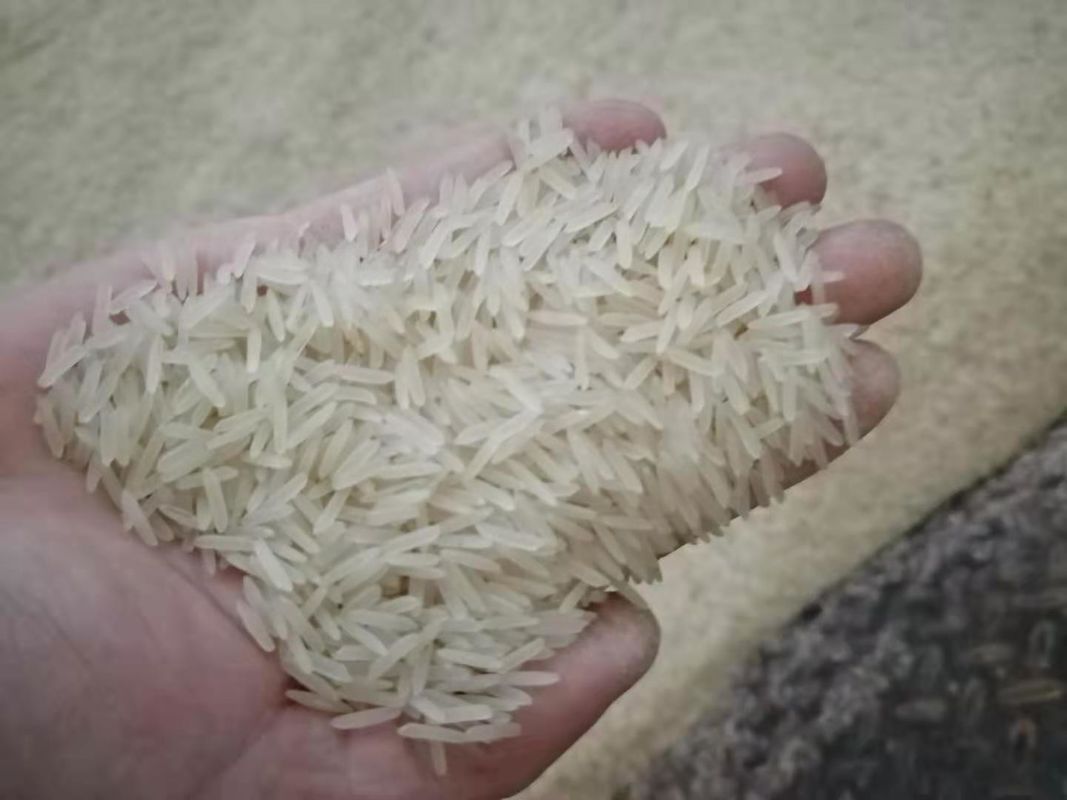 WENYAO Agriculture Rice Color Sorter, macchina multifunzionale del selezionatore di colore del grano