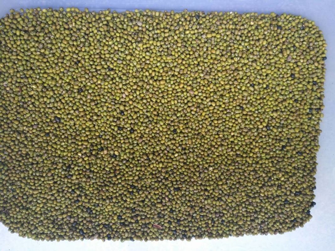Macchina verde intelligente del selezionatore di colore di Bean Colour Machine Beans Ccd