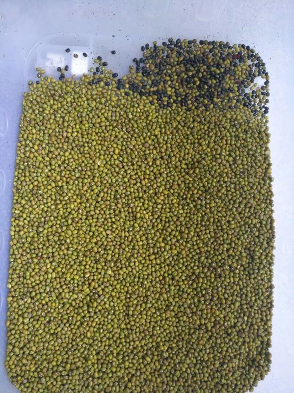 Macchina verde intelligente del selezionatore di colore di Bean Colour Machine Beans Ccd