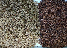 Selezionatore di colore della noce dell'attrezzatura di elaborazione della noce della macchina di Shell Separator Walnut Color Sorting della noce