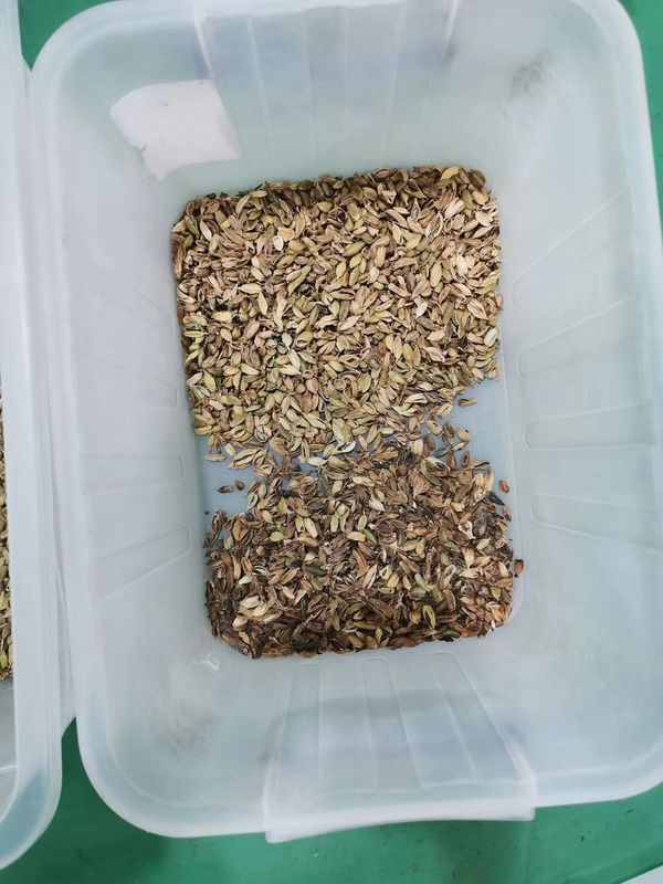 Macchina agricola /Cardamom del selezionatore di colore del cardamomo delle attrezzature che separa macchina