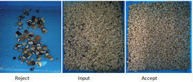 2025 Hot Sale Prezzo di fabbrica CCD Color Nut Sorter Macadamia Nut Separation Equipment con CE