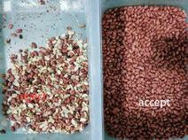 Wenyao Camera CCD a infrarossi Macchina per la classificazione del colore dei cereali Sortitore ottico di colore del mais di arachidi