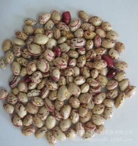I i più nuovi fagioli multifunzionali del software colorano il selezionatore di colore dei fagioli del vaglio