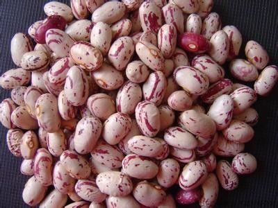 I i più nuovi fagioli multifunzionali del software colorano il selezionatore di colore dei fagioli del vaglio