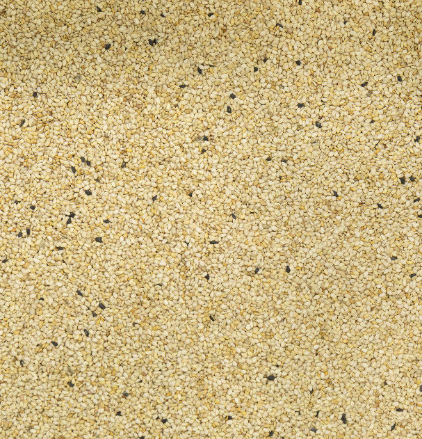2t/h Wenyao Color Sorter, alto selezionatore di separazione di colore del sesamo di accuratezza