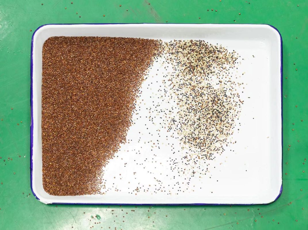 Macchine del selezionatore di colore della quinoa 128 canali 2 anni di garanzia
