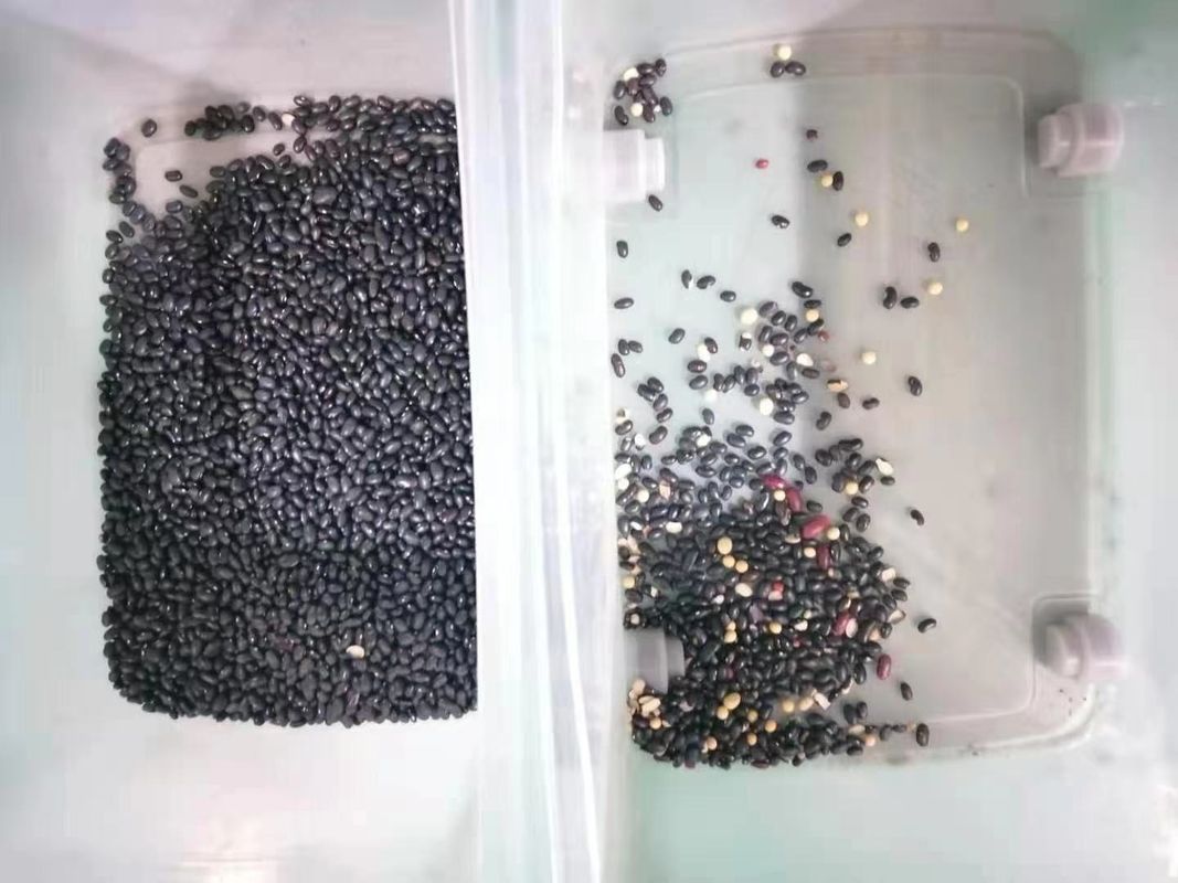 Selezionatore multifunzionale di colore di 128 canali per il fagiolo di Pea Wheat Grain Nut Seed