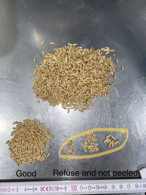 Alto selezionatore di colore del grano degli scivoli di capacità di lavorazione 8, vaglio del grano del CCD