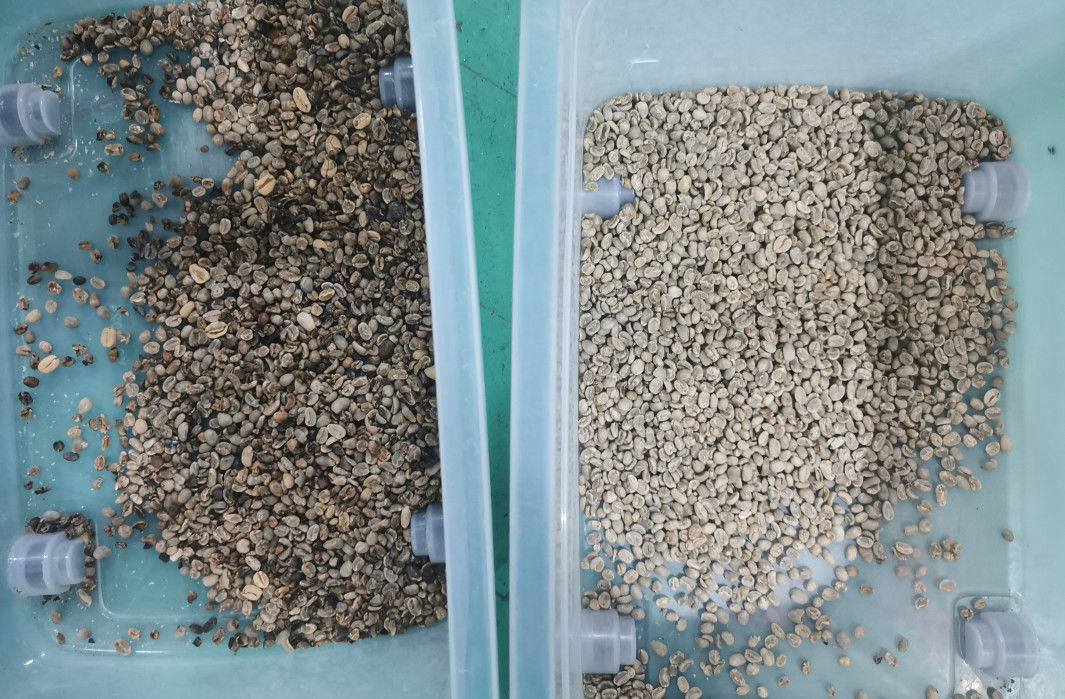 selezionatore di colore di 99,99 fagioli di accuratezza, Bean Color Separator di cuoio porpora