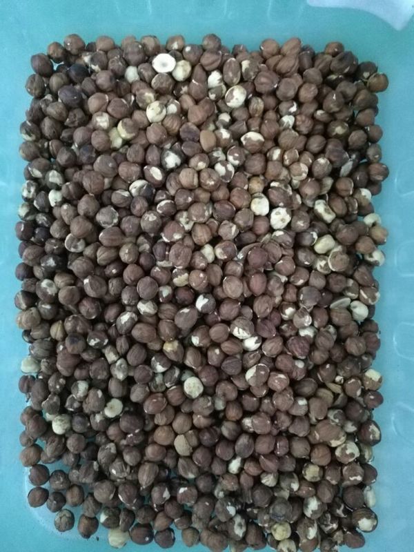Multi selezionatore matto funzionale di colore, 6 accuratezza del selezionatore 99,99 della nocciola dello scivolo