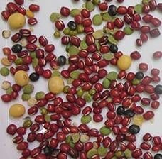 I fagioli di colore pieno del CCD colorano il saltatore di acciaio inossidabile della macchina 304 del selezionatore