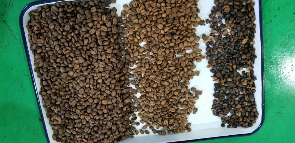 Luce variabile di Bean Color Sorter LED del caffè di 8 canali degli scivoli 512